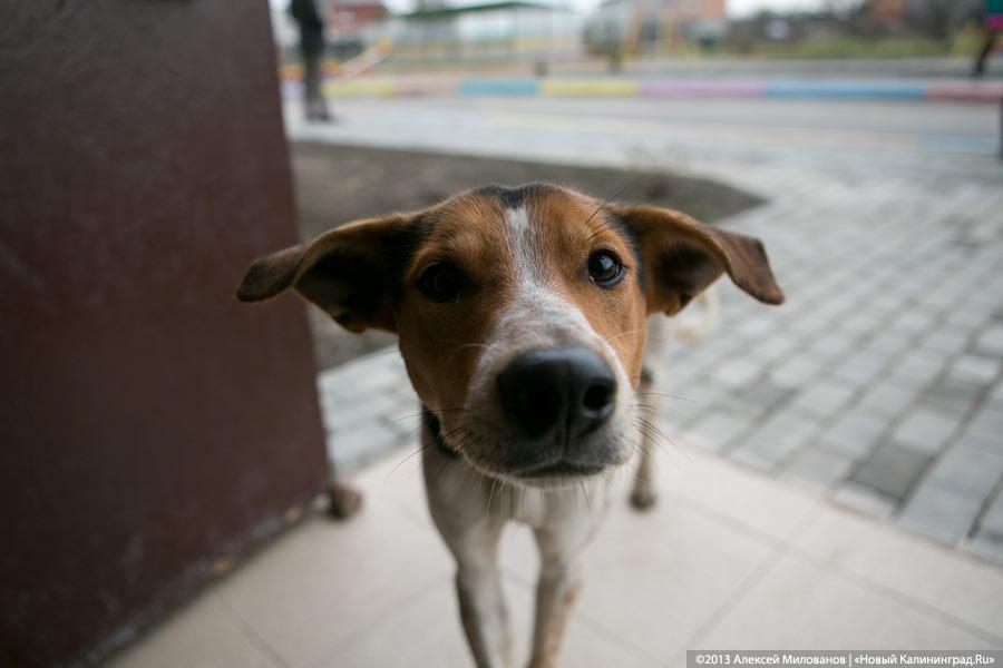 «Коля-колокольчик»: как Николай Цуканов открыл два детских садика за один день