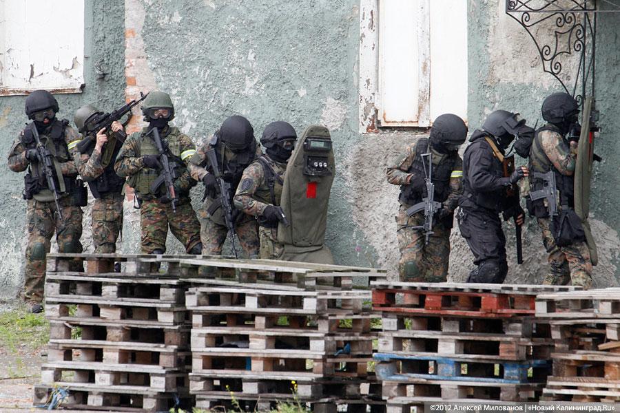 «Под флагом Башара»: фоторепортаж с антитеррористических учений