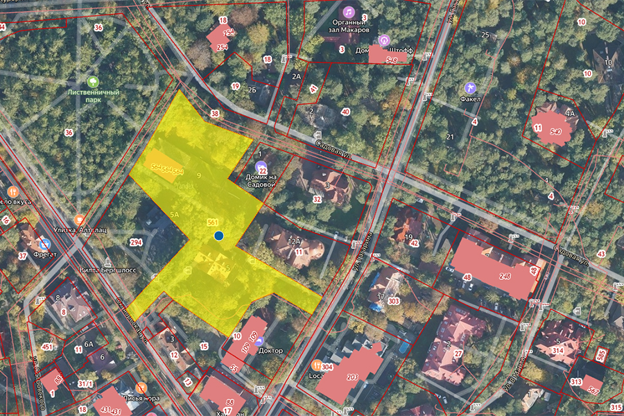 Застройщику санатория в Светлогорске разрешили вырубить 18 деревьев