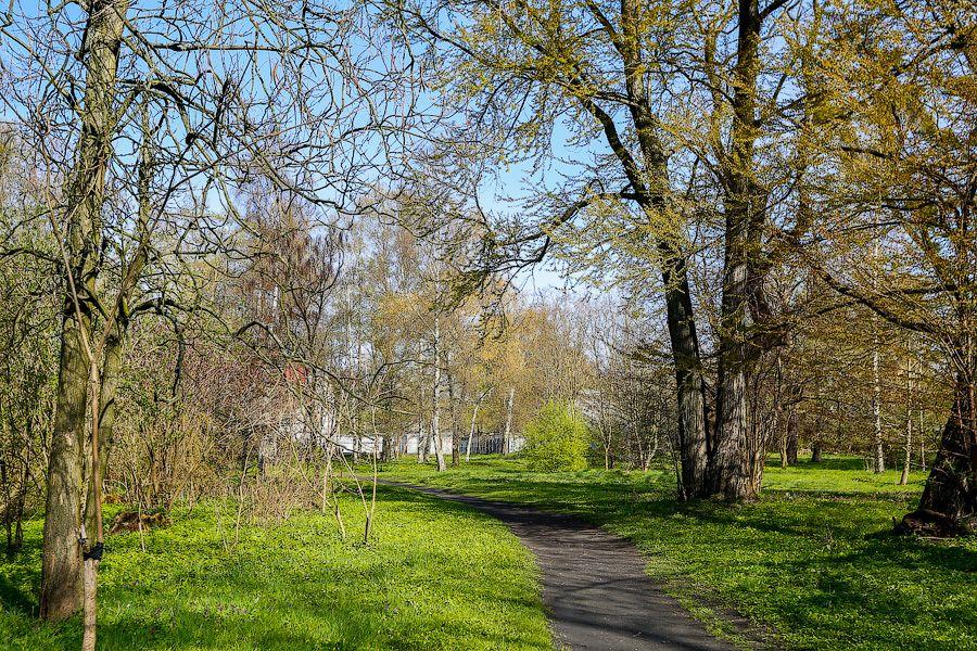 Пастораль ручной работы: весенний Ботанический сад