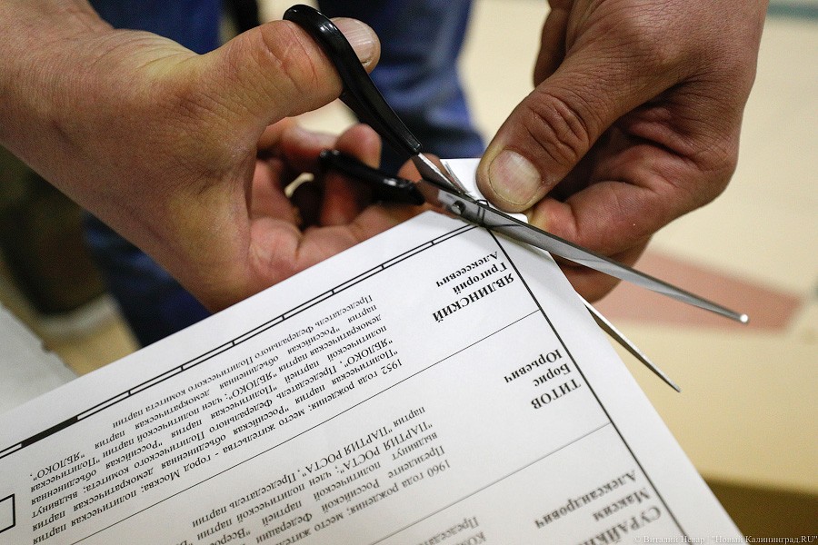 Легитимизируя данность: как в Калининграде проходил подсчет голосов (фото)