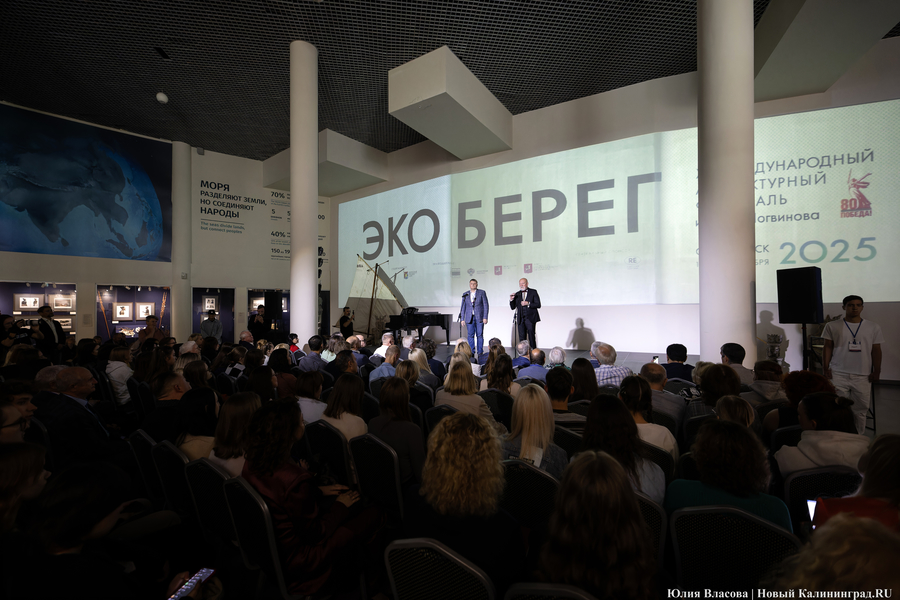 «Гнёзда» на Филинской бухте: проект из Москвы получил первую премию «ЭкоБерега» (фото)