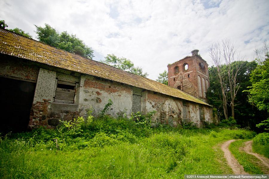 Легенды и лягушки: кирха в поселке Ново-Московское обрастает мхом и преданиями