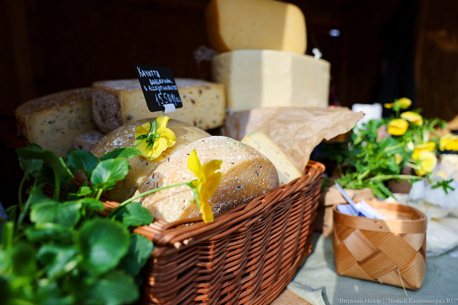 Шашлычок под медлячок: на острове Канта стартовала «Неделя еды и музыки» (фото)