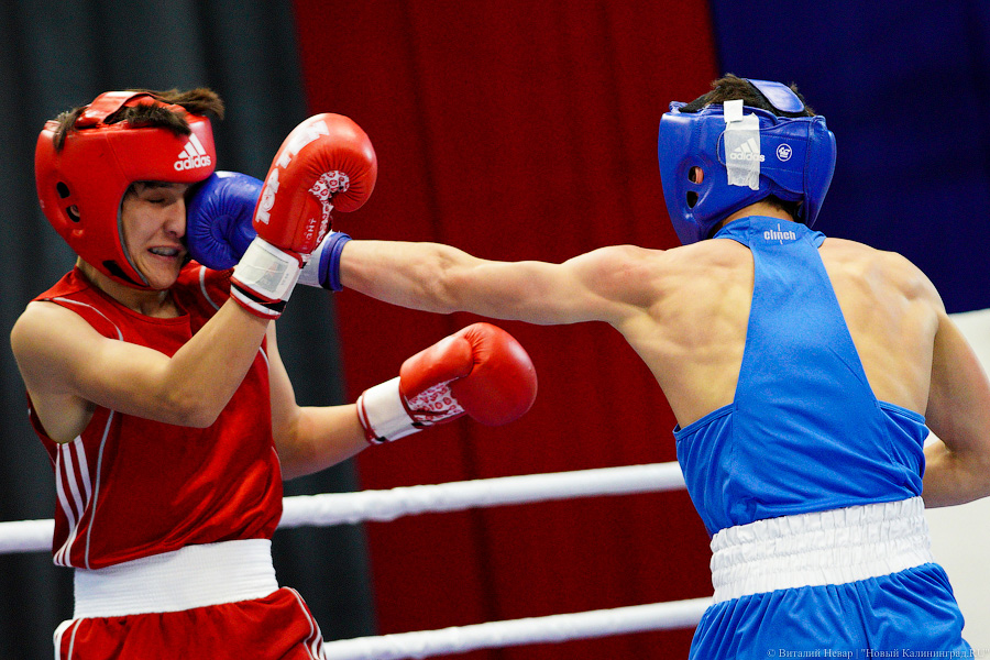 Очередной нокдаун: в Калининграде прошёл международный турнир по боксу «Янтарные перчатки»