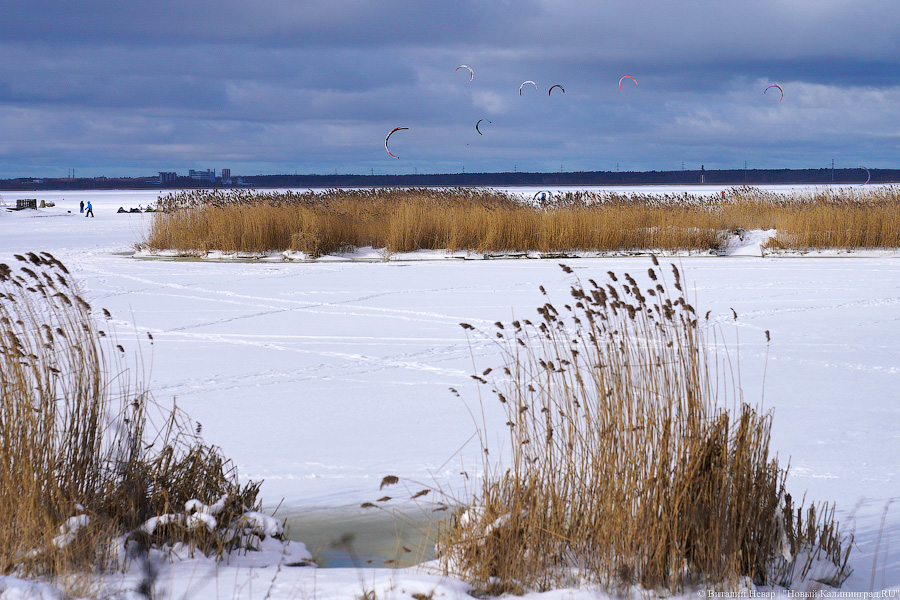 Сноукайтеры вышли на Калининградский залив. Посмотрите, как это красиво