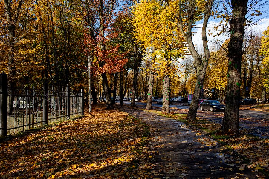 Синоптики обещают в выходные температуру на 8-12 градусов выше климатической нормы