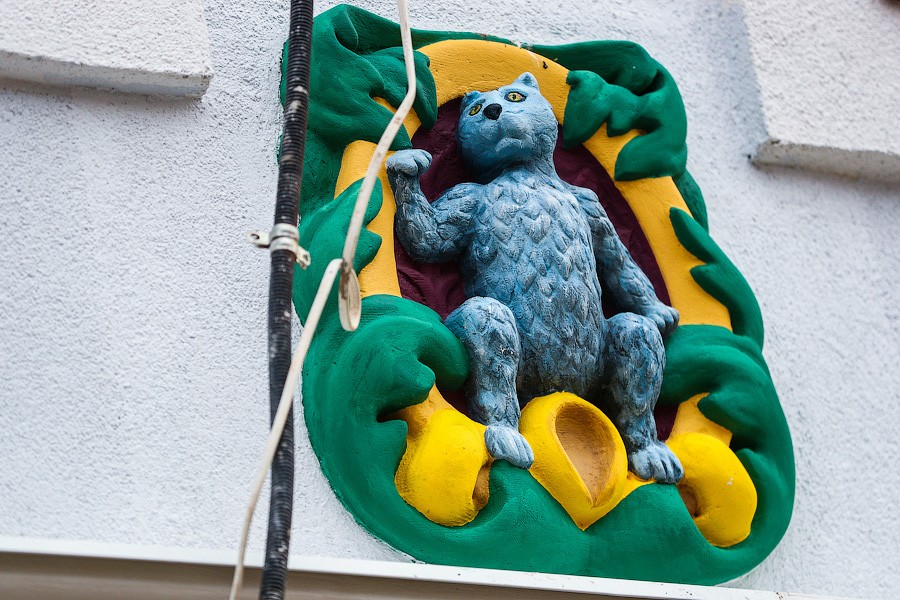 Царство синего кота: как выглядит Железнодорожный после капитального ремонта