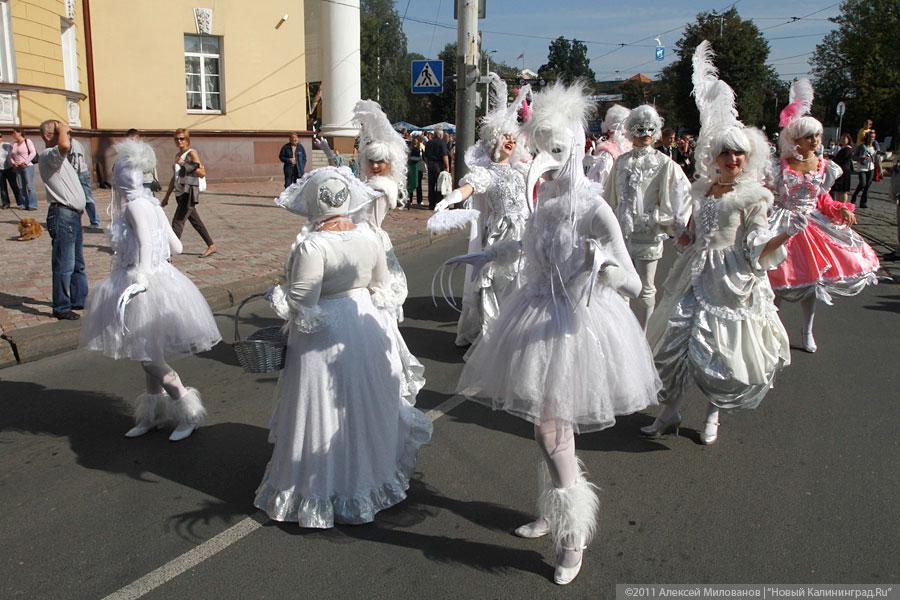 "Пропуская пешеходов": фоторепортаж "Нового Калининграда.Ru"