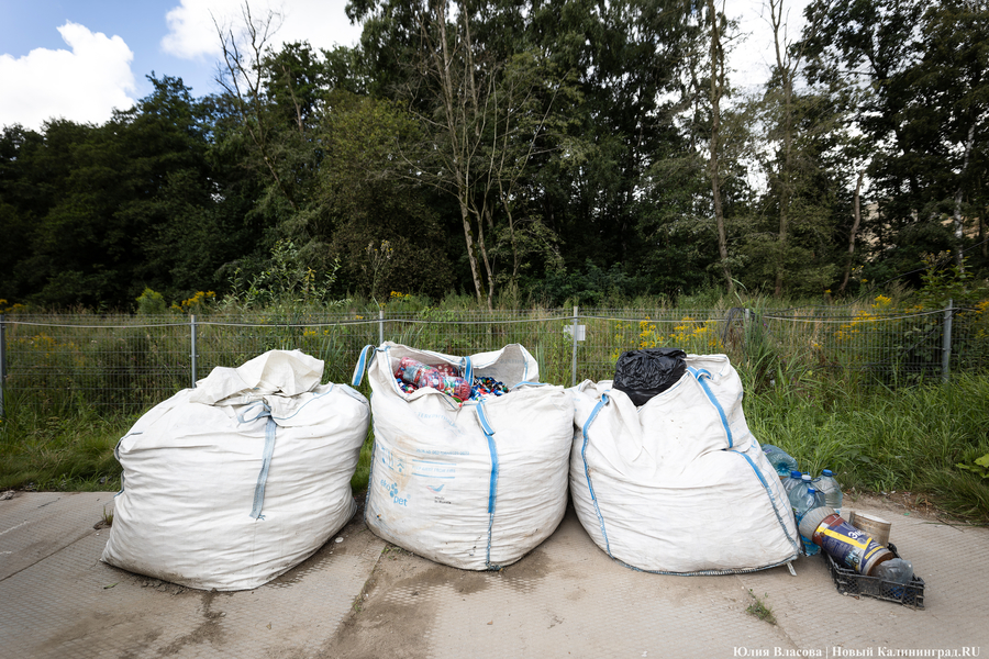 «Стихией управлять не научились»: как глава Минприроды РФ понюхал воздух в Круглово (фото)