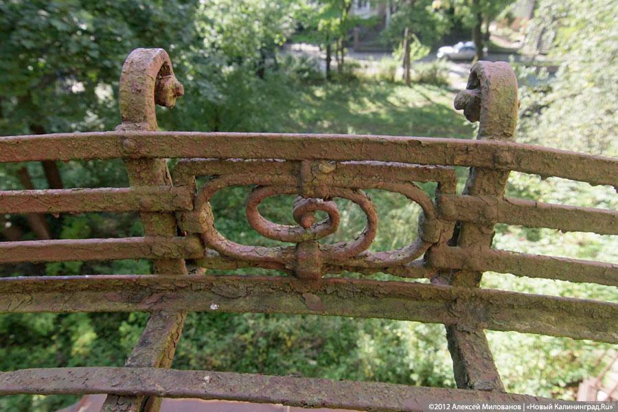 «Куда ушли детские сады. Продолжение»: фоторепортаж «Нового Калининграда.Ru» 