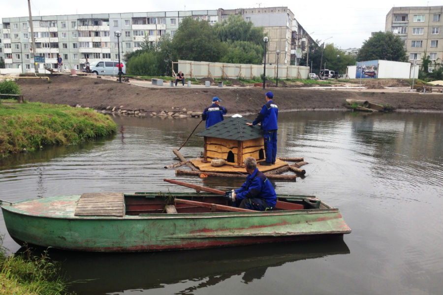 В Калининграде на ручье Лесном появился домик для уток (фото)