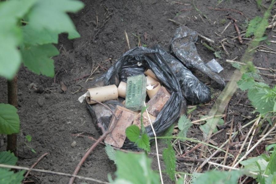 Под Зеленоградском в лесу полиция и ФСБ нашли тайник с боеприпасами (фото)