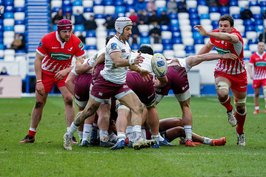 На стадионе «Калининград» снова сыграли в регби. Вот как Россия проиграла Грузии