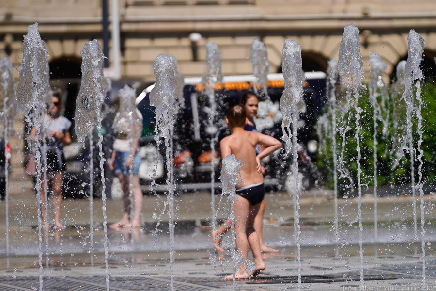 В Калининградской области за выходные побиты два суточных температурных рекорда