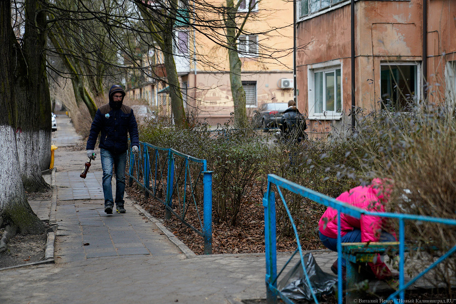 Теория целых окон: волонтеры пытаются спасти здание на Расковой с помощью уборки (фото)