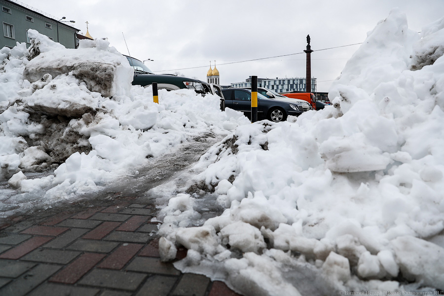 Дятлова: «Невозможно в мгновение ока одновременно сделать уборку за пять минут всех дорог»