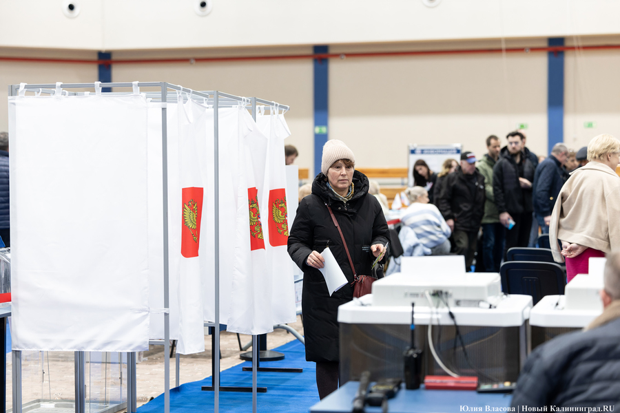 Один на ринге: как проходило голосование в Калининградской области (фото)