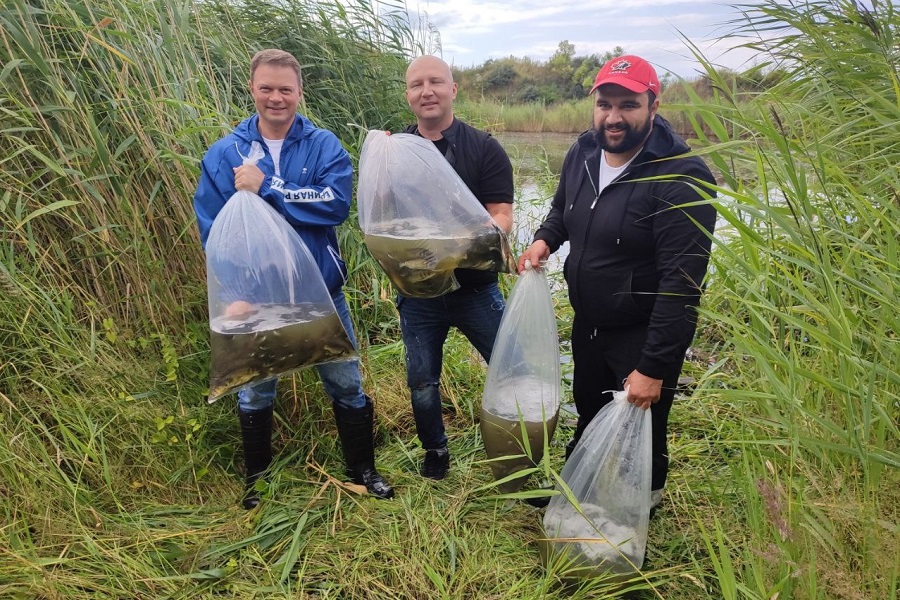 «Водоем не будет зацветать летом»: власти выпустили в Синявинское озеро ценные породы рыб