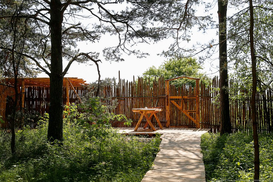 Олаф и его хирд: деревня викингов на Куршской косе стала обитаемой