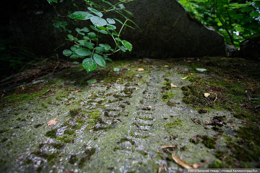 По следам Первой мировой: захоронение в пос. Совхозное Нестеровского района