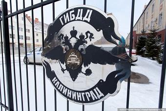 ГИБДД: в Калининграде из-за шумовых полос уменьшилось количество ДТП