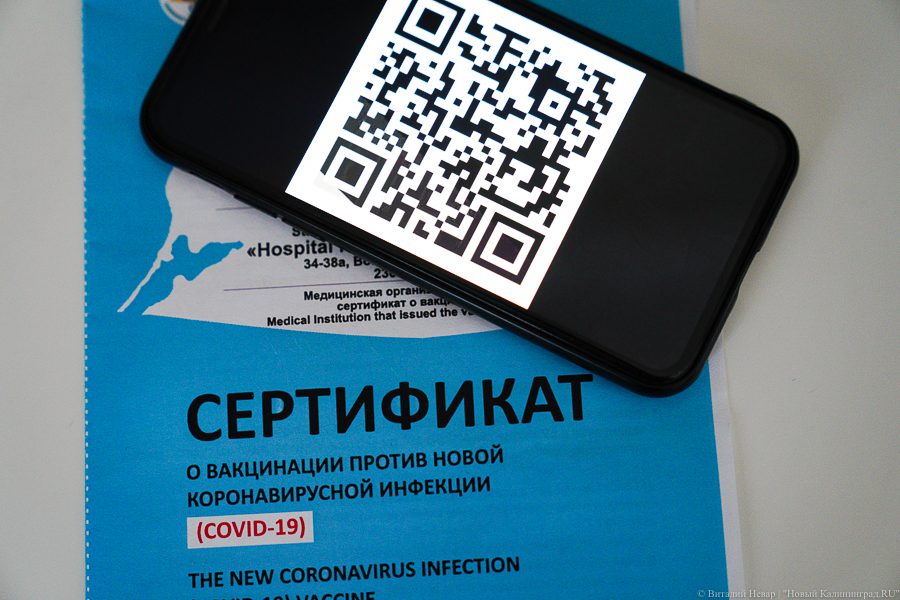В России не могут начать выдачу COVID-сертификатов по антителам из-за отсутствия методологии