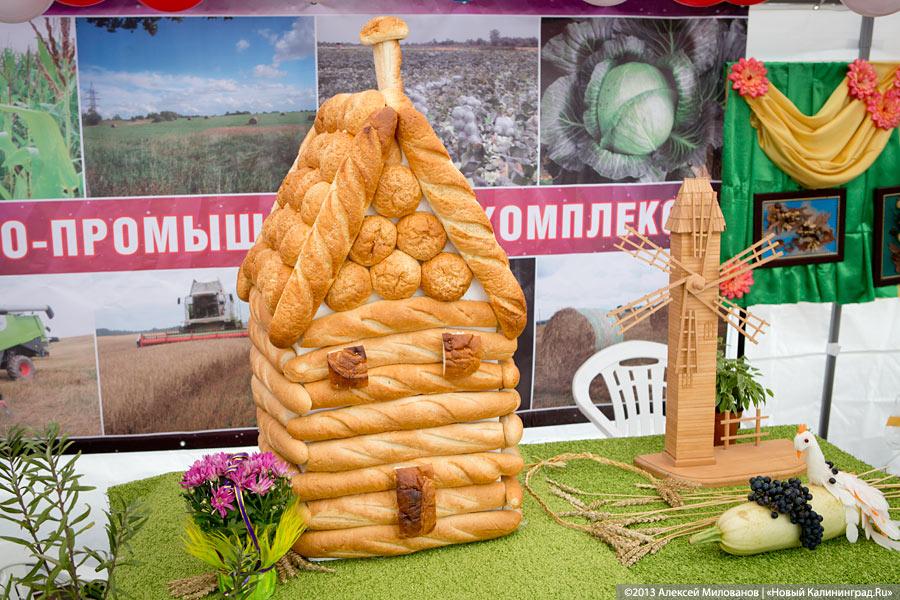 «Процветает всё кругом»: трёхлетие губернатора отметили муниципальным фестивалем (фото)