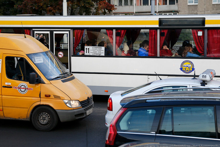 Власти: полное обновление автобусов в Калининграде возможно при росте числа пассажиров на 80%