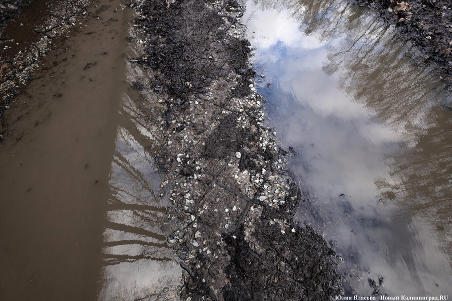 Непролазная грязь: как выглядит берег Литовского ручья в ожидании реновации (фото)