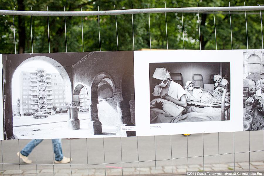 Иду, не курю: что интересного было на пешеходной зоне Дня города-2014