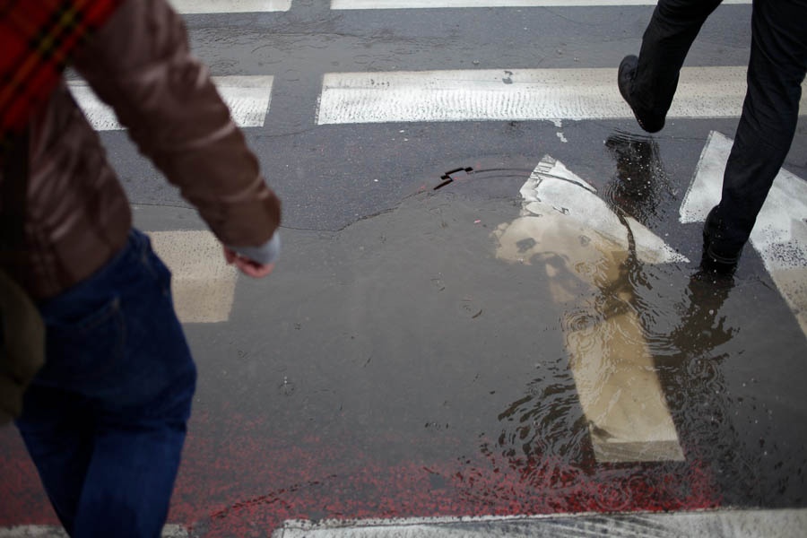 В Балтийске на несколько автомобилей упало дерево (фото)