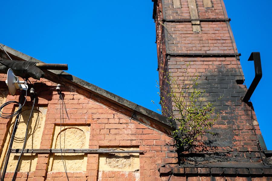 Экзотика в руинах: аварийные оранжереи Ботанического сада и их будущее