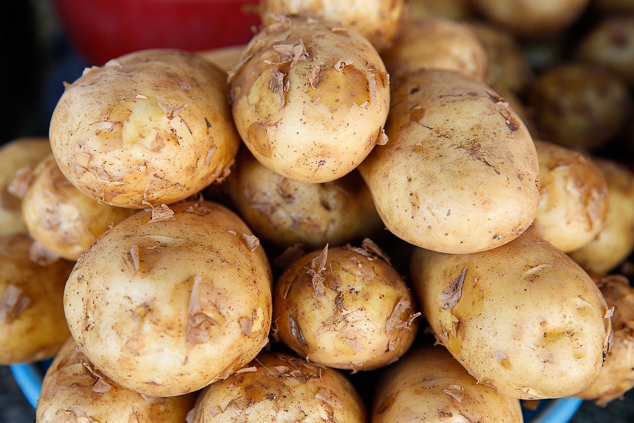 Россельхознадзор не дал ввезти жителям региона 15 кг картофеля и три горшка с хризантемами