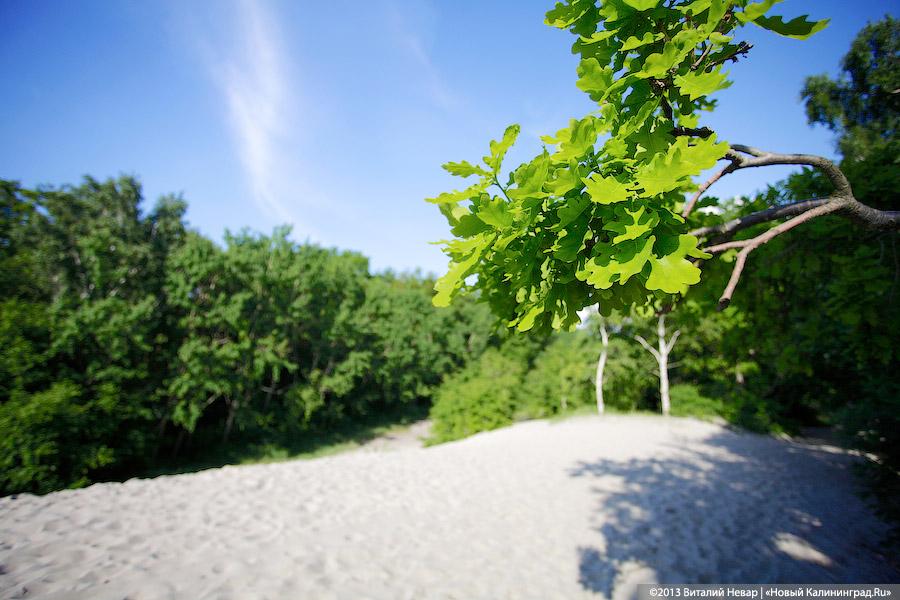 Дикие пляжи. Окончание: Балтийск накануне туристического сезона