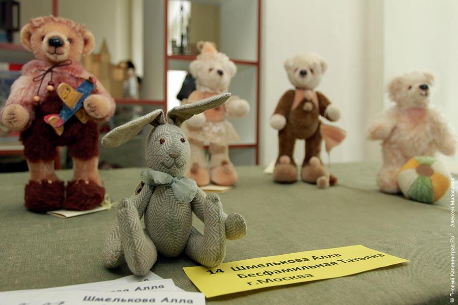 "Медвежонок Тедди и все-все-все": фоторепортаж "Нового Калининграда.Ru"