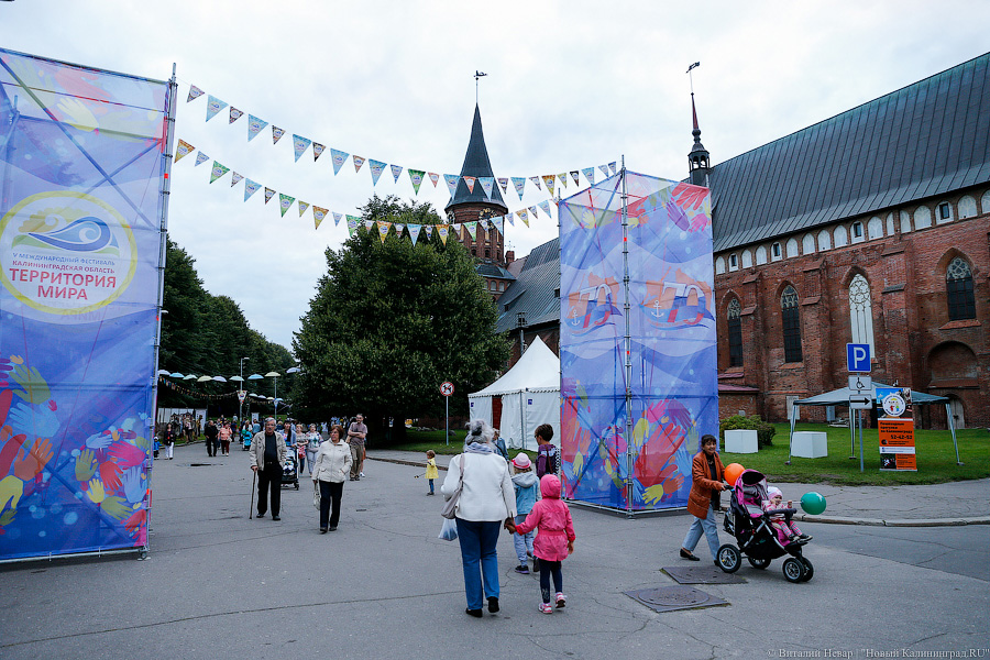 Да здравствует милая Африка!: второй день фестиваля «Территория мира»