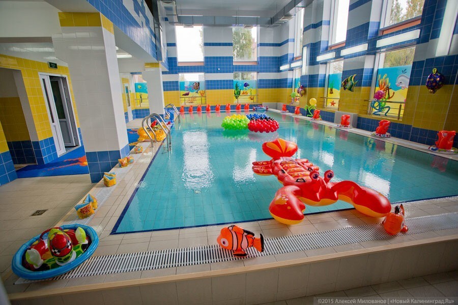 Калининградская областная таможня не нашла бассейн для плавания