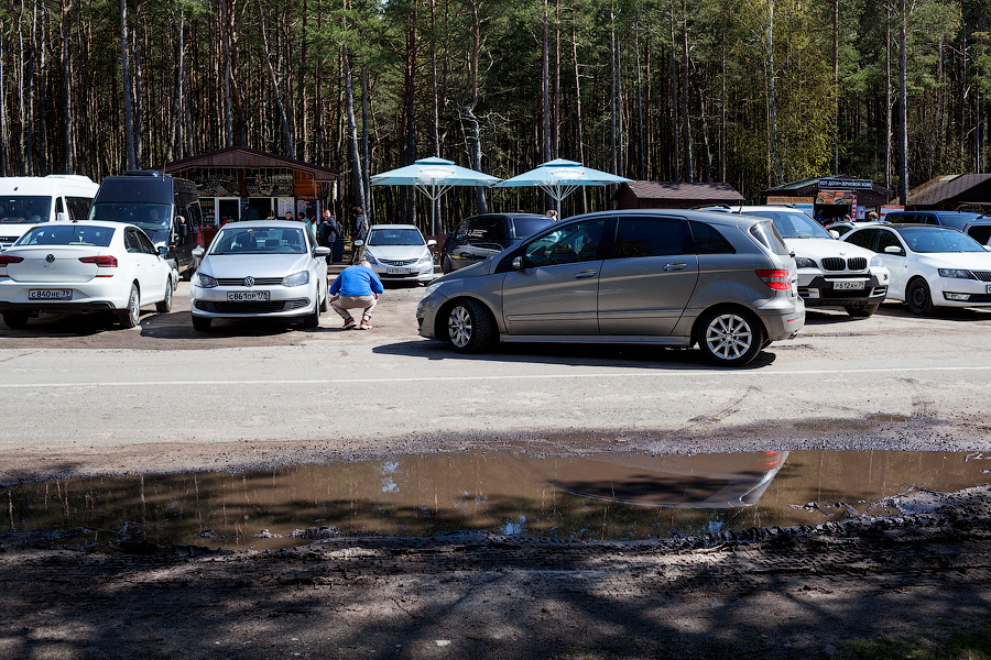 «Надо что-то делать, это нереально»: Куршская коса едва справляется с турпотоком