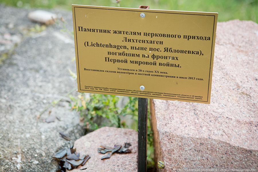 Исчезая в зелени: руины кирхи XIV века в поселке Яблоневка Гурьевского района