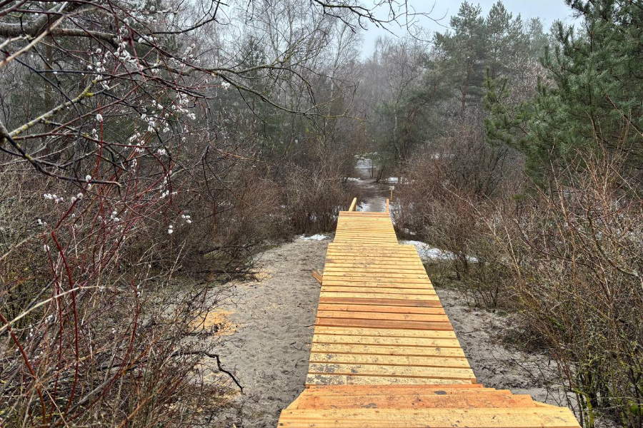 На Куршской косе начали устанавливать новый переход к морю