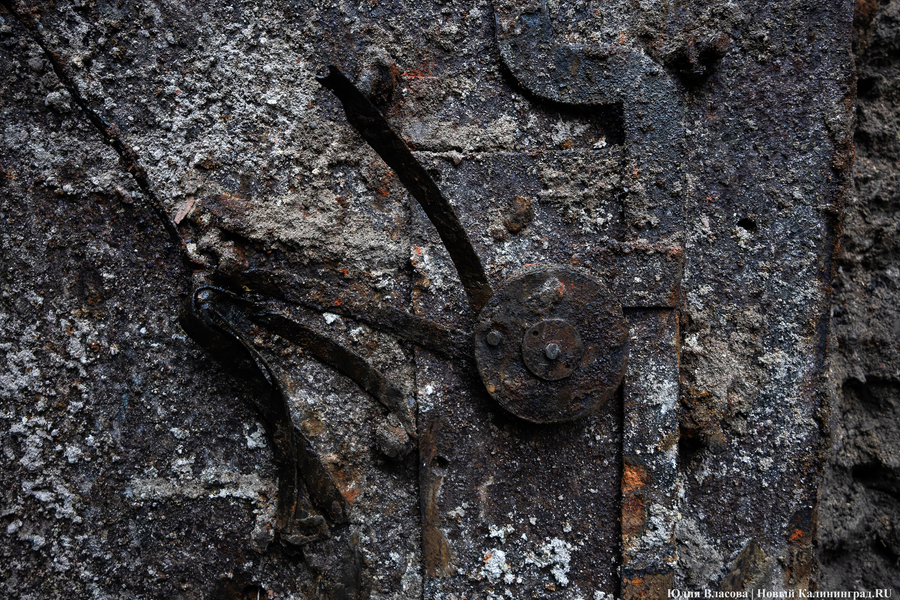 Настоящие подземелья Кёнигсберга: что находится в открывшемся провале на острове Канта (фото)