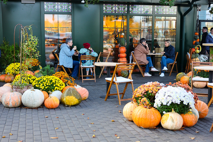 Время тыквы: как в Калининграде проходит необычная осень (фото)