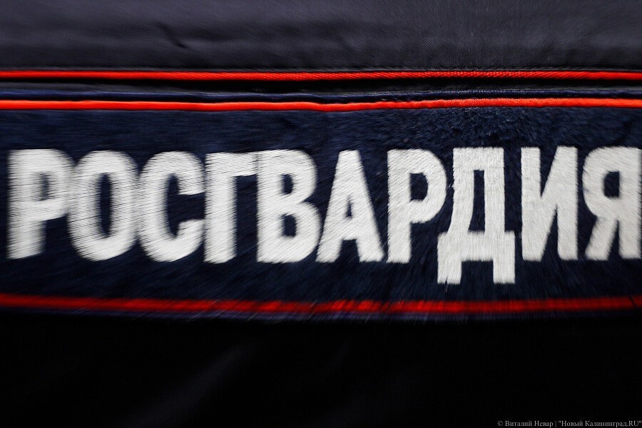 В Калининграде за коррупционные проступки наказали почти два десятка росгвардейцев
