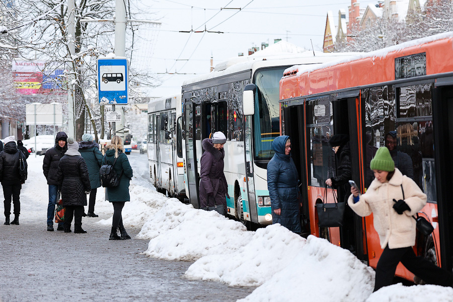 Хаос под белым покрывалом: как выглядит утонувший в снегу Калининград (фото)