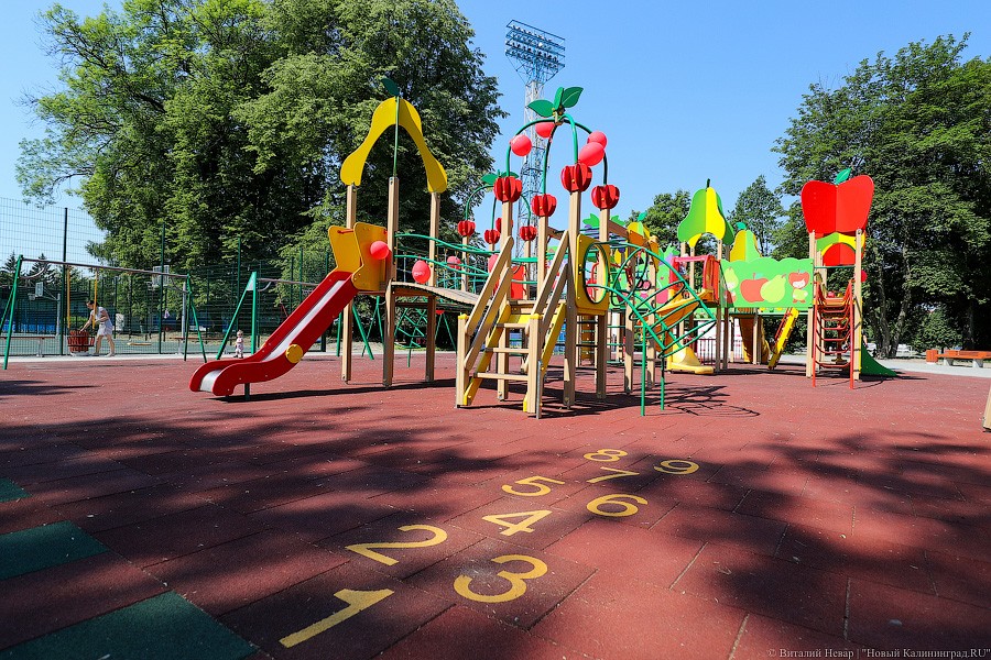 Все мы разные, все мы равные: в Калининграде открыли инклюзивный парк (фото)