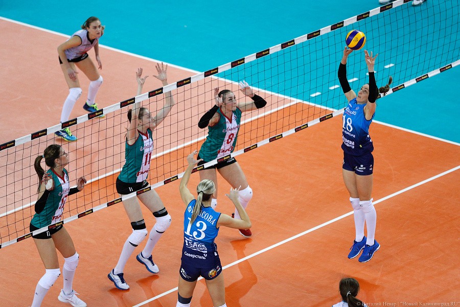 Два «Динамо» подряд: в Калининграде проходит волейбольный «Финал четырех» (фото)