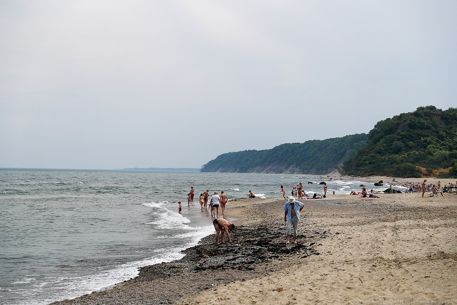 Власти не передумали сокращать площадь заказника «Филинский»