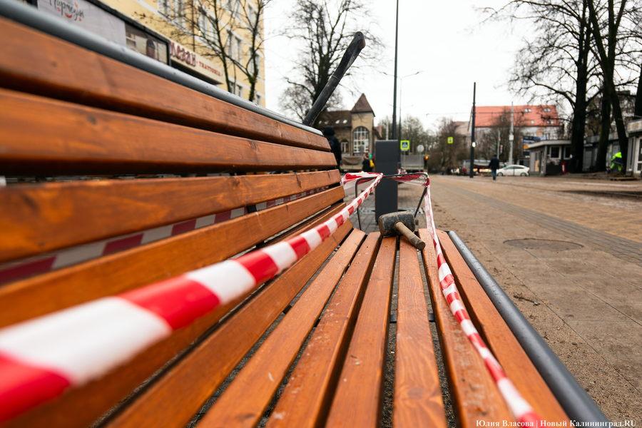 50 оттенков коричневого: как выглядит после ремонта Фестивальная аллея (фото)