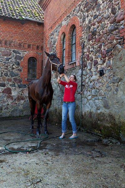 «Шляпки, лошади, конкур»: фоторепортаж «Нового Калининграда.Ru»